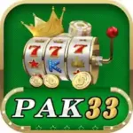 PAK33 GAME