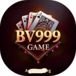 BV999 Game